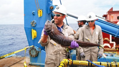 TMC5D0747_08371016_1